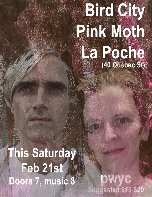 Bird City and Pink Moth Guelph poster for post